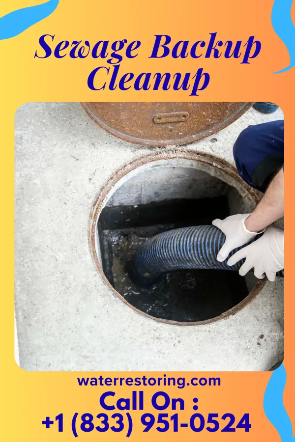 Sewage Backup Cleanup in Pennsburg, PA
